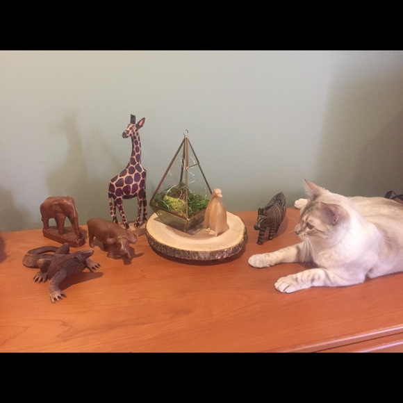 Meet your Posher! π - Picture 4 of 5